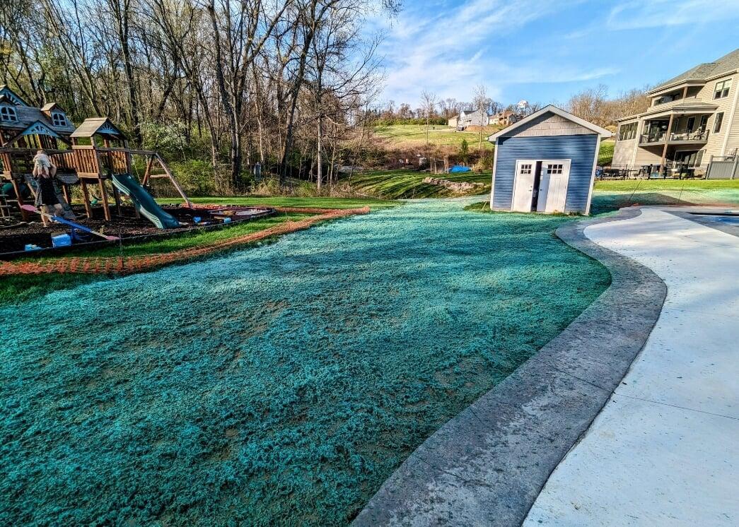 Hydroseeded backyard with curved concrete path, playset, and a small blue shed near wooded area.