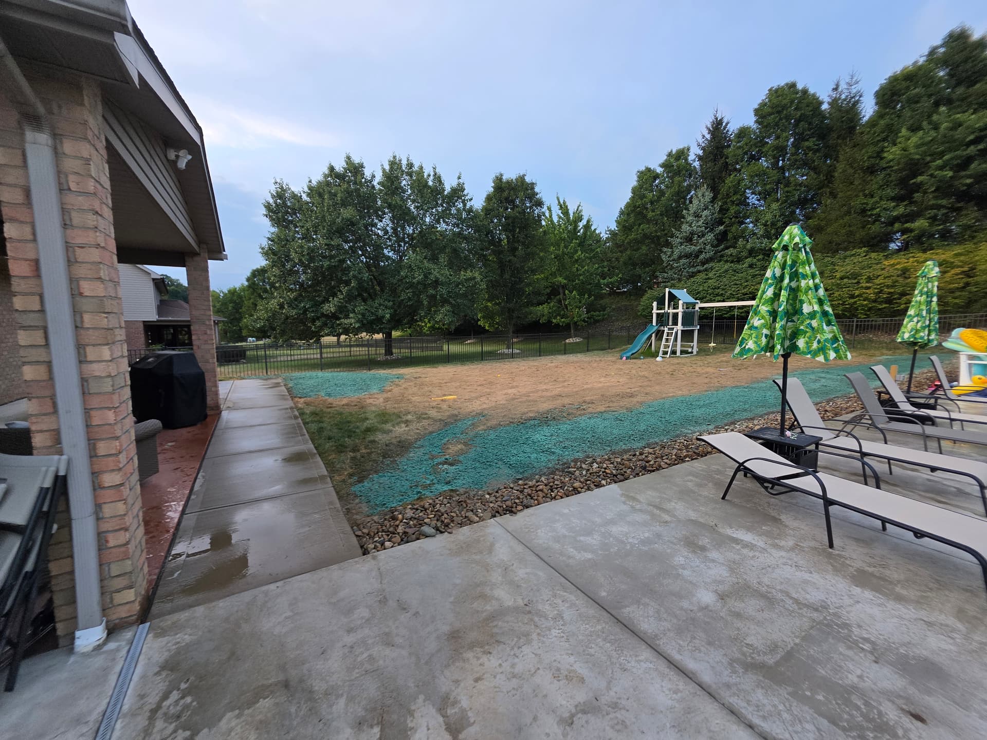 Lawn Seeding in Whitehall Borough, PA