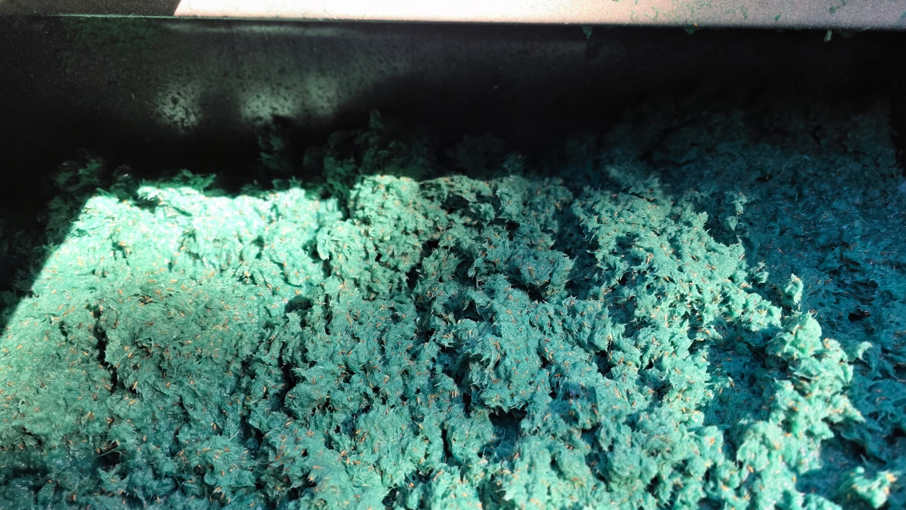 Hydroseed Solutions at work